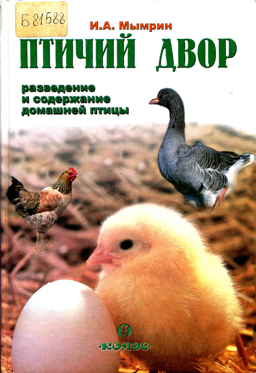 Птичий двор: разведение и содержание домашней птицы